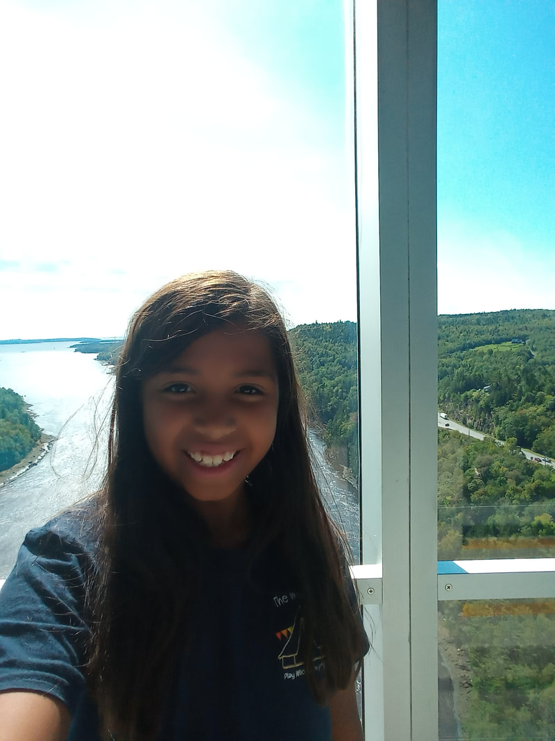 Picture